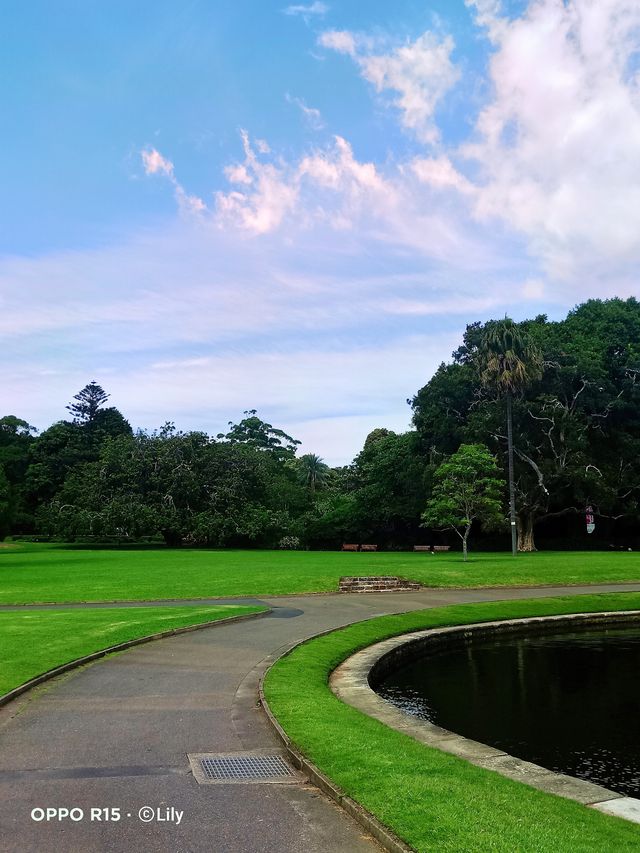 Sydney Royal Botanic Garden