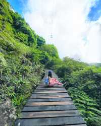 Hiking paradise｜Complete the Ngong Ping Trail in 4 hours!