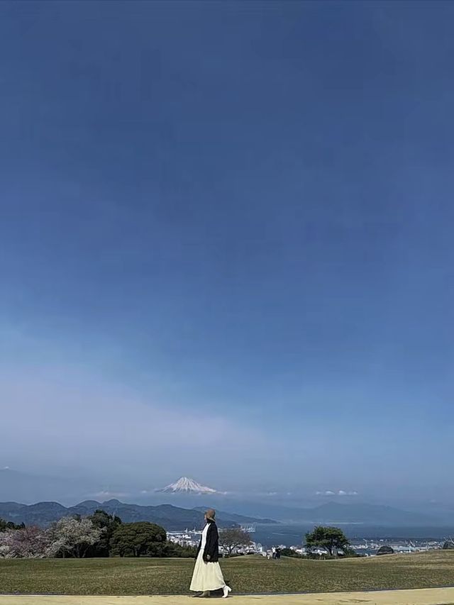 Shizuoka | Mount Fuji 🗻 and cherry blossoms 🌸 in spring