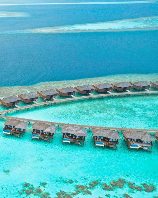 Maldives' pioneer of all-inclusive package | Lily Island