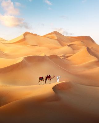 “One Thousand and One Nights” IRL