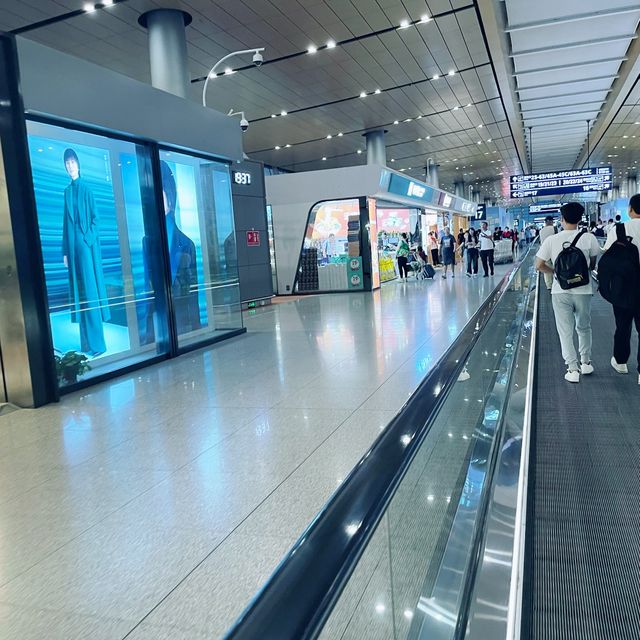 ✈️ Catch a flight not some feelings 