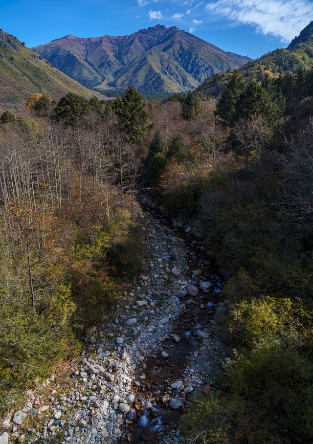 雅安看秋景的好地方，有紅葉有雪山還不花錢
