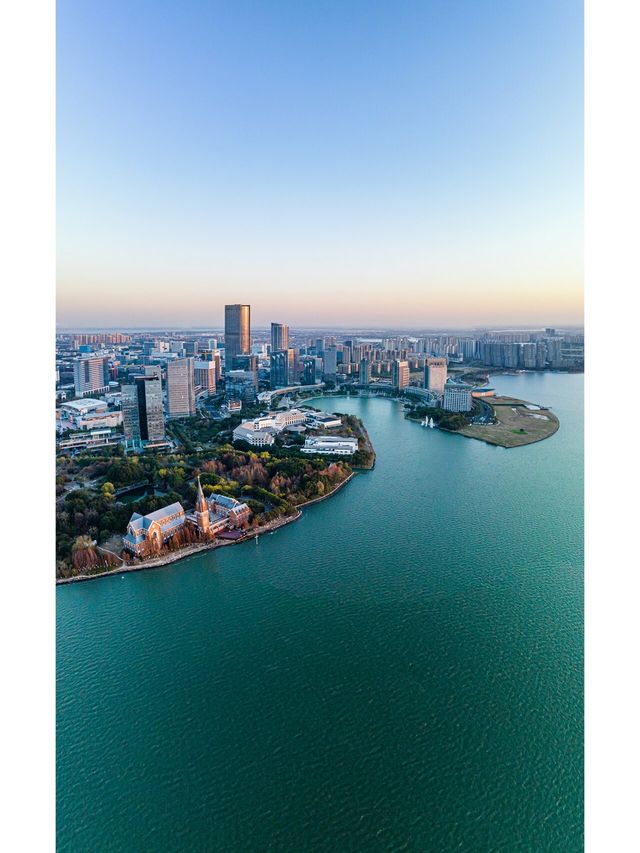 到獨墅湖公園一睹紅杉在冬日裡最後也是最倔強的“火紅”盛景