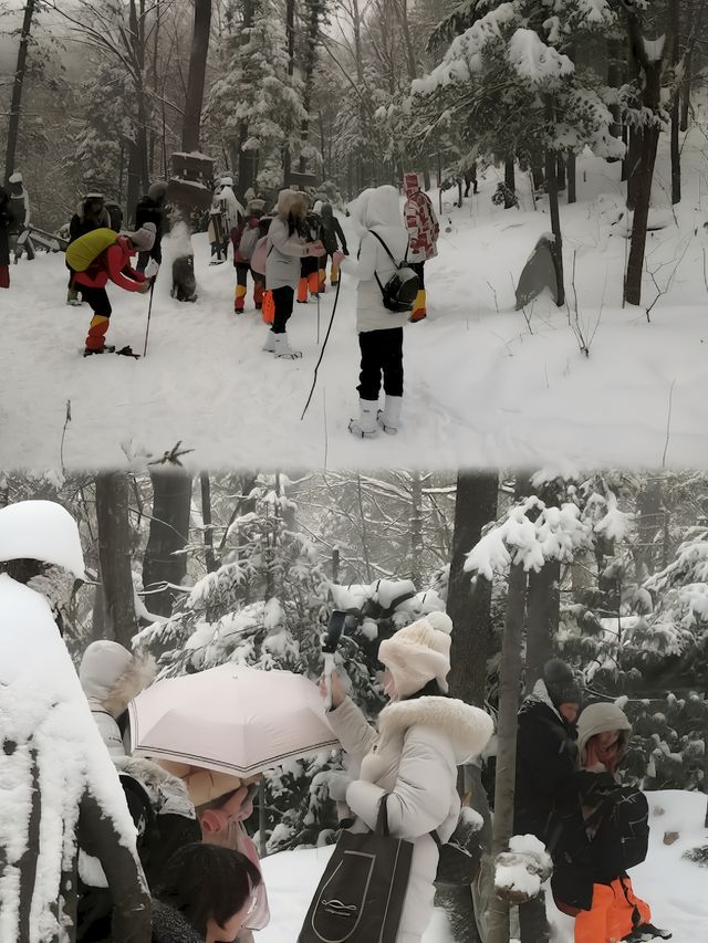 雪谷住宿推薦！一定要住一次黑龍江五常市新福客棧民宿！