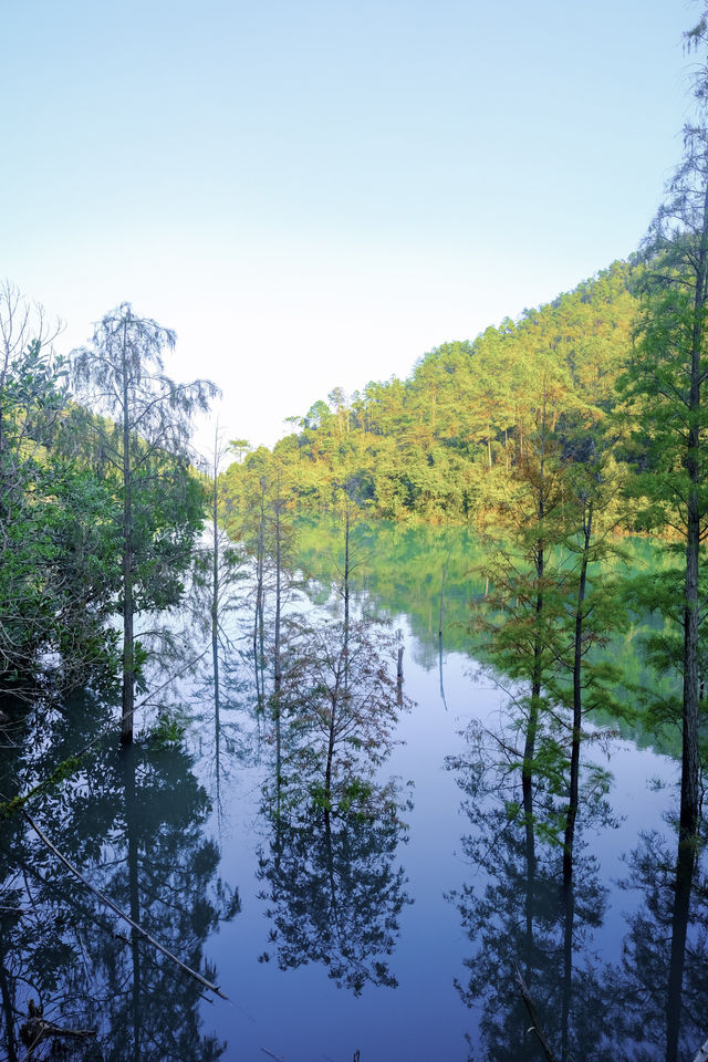 中山徒步 | 這條小眾路線真的很絕