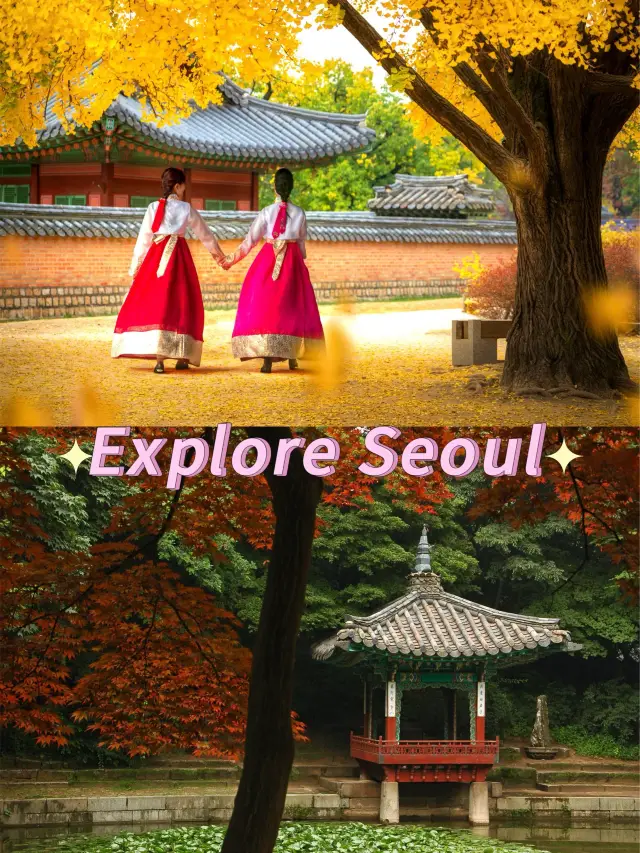 🧳 Seoul Trip | The Ultimate 7-Day Seoul Tips That Will Blow Up Your Friends' Hearts 📸✨