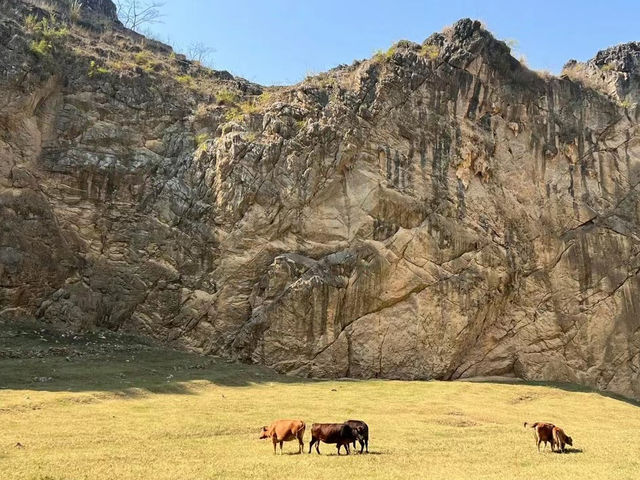 龍養天坑