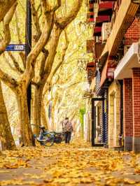 人生建議:12月逛完這些小馬路再離開上海!