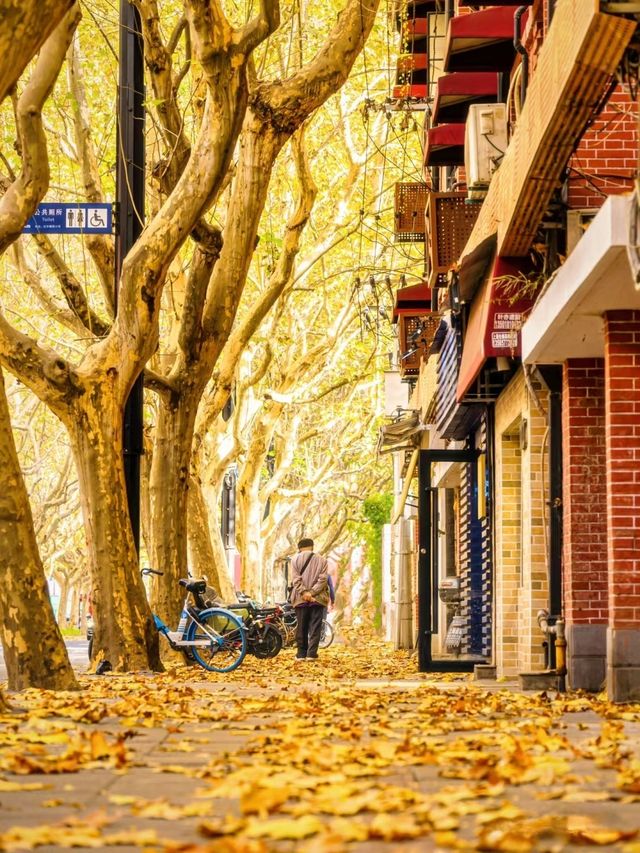 人生建議:12月逛完這些小馬路再離開上海! 人生建議:12月逛完這些小馬路再離開上海!