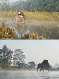 狂野奇特旺，叢林裡追逐遺產級的亞洲獨角犀牛