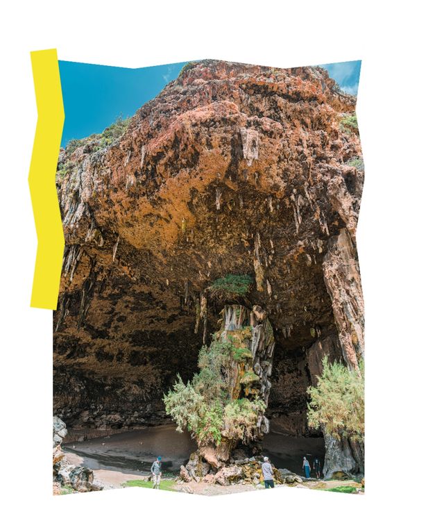一文帶你走近也門索科特拉島7天行程第三天