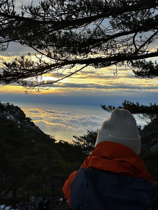 張萬森，黃山下雪了，快來看