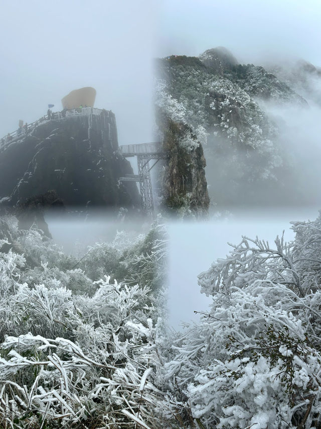 廣東也能看雪？這 6 個賞雪好去處快收好！