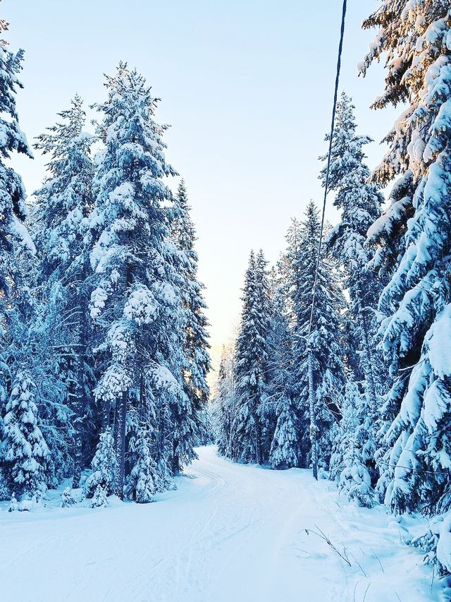 歐娜斯山滑雪中心簡直太棒了