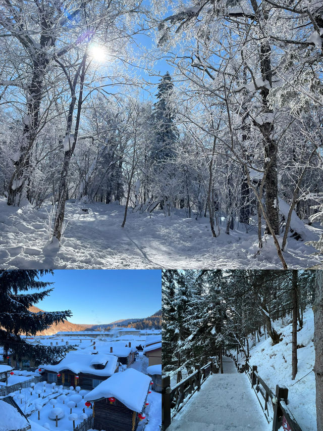 【哈爾濱雪鄉兩日遊】超詳細攻略，帶你玩轉冰雪世界！