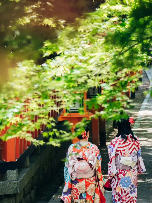 Gion District and Geisha culture in Kyoto