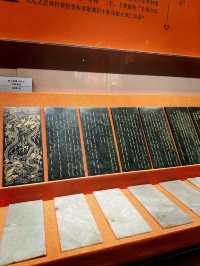 🇨🇳🐫Explore the Xinjiang Uyghur Museum!