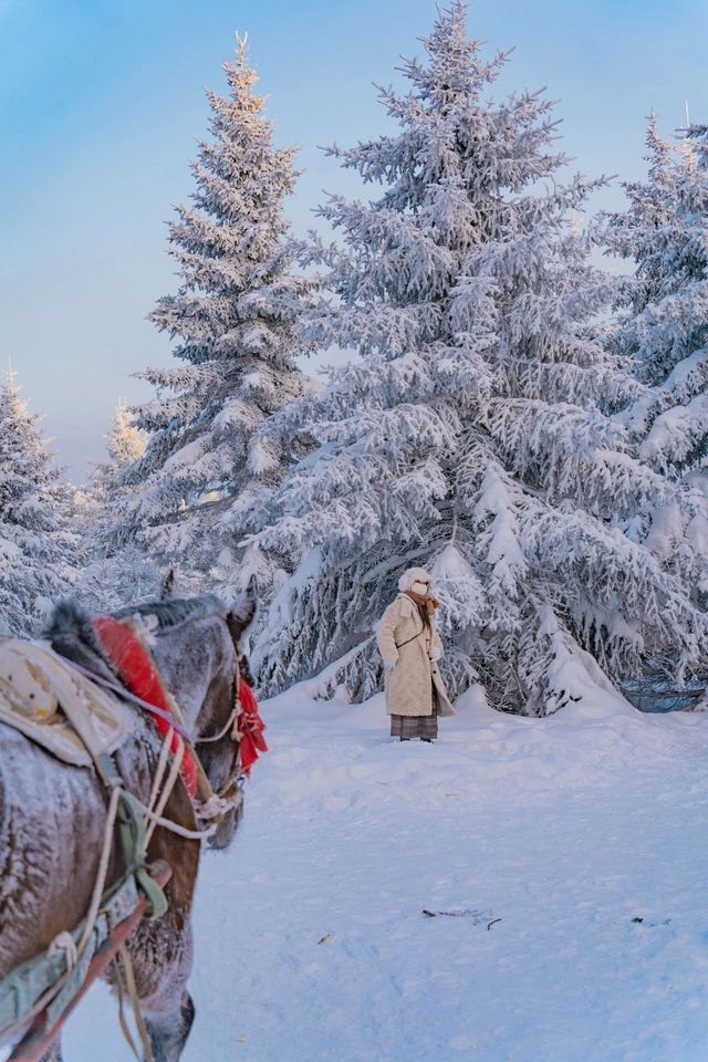 剛從來長白山雪嶺回來，強烈推薦小土豆寶們