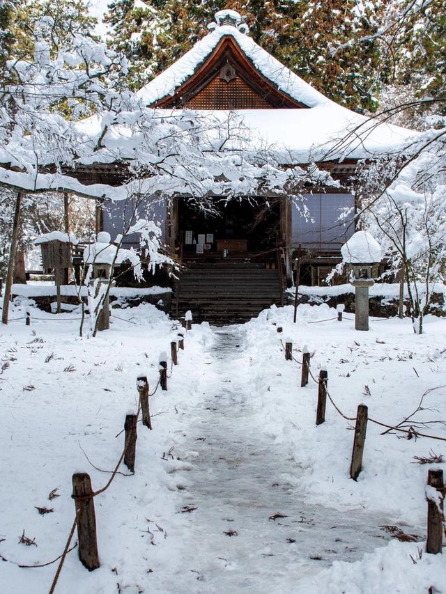 關西賞雪