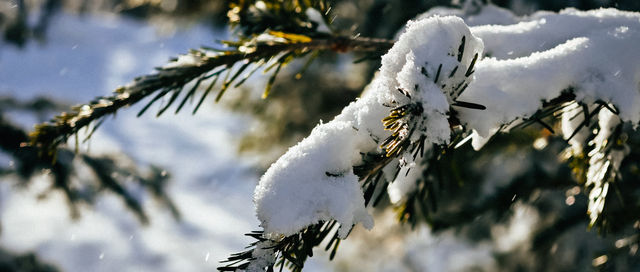 長白山雪嶺｜探索長白山雪嶺的冰雪秘境！