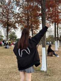 清遠拍照聖地-清遠“小洱海”|||地址:清遠北江南岸公園