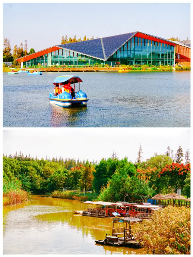 Suburban parks around Shanghai suitable for self-driving day trips｜Camping, walking children, walking dogs