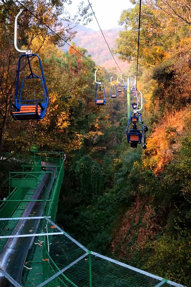 遊瀘山，寺廟、博物館、登山和靈猴