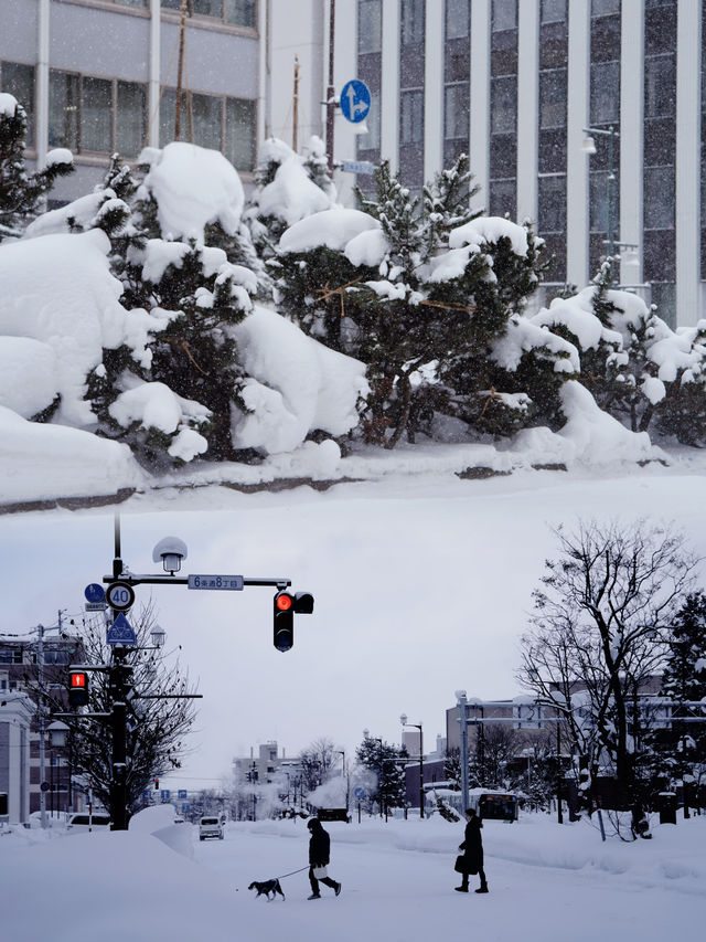 看雪中企鵅散步，在旭川最高建築俯瞰雪後浪漫旭川！