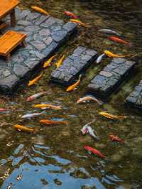 福建小眾打卡地｜住進大魚海棠椿的家