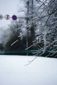 武漢的雪，落在了木蘭山之上