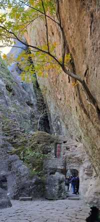 武夷山從生態、景觀、歷史文化等方面與其它同類地區和遺產地的價值比較，有以下突出特點：武夷山集山嶽、河