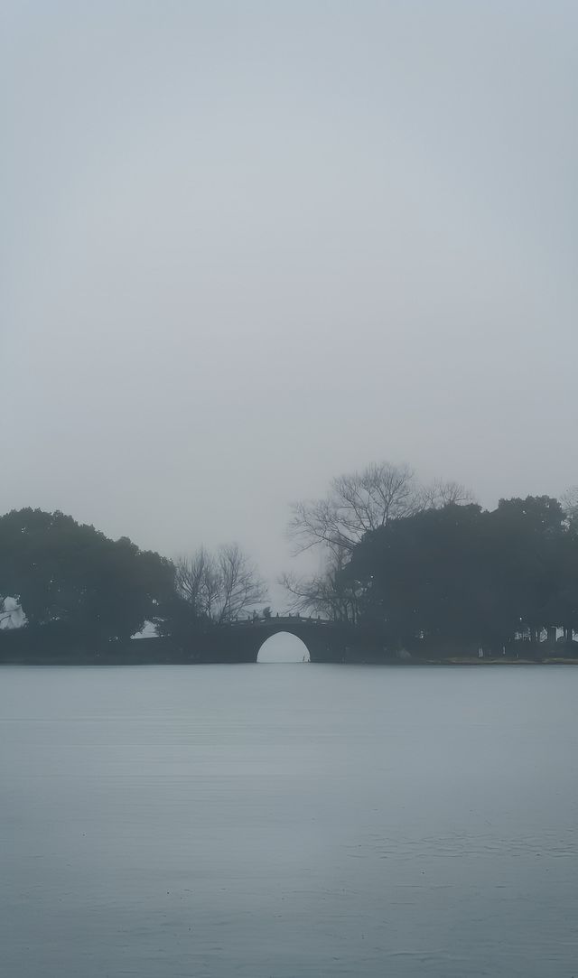 西湖邊唯一的臨水臘梅—郭莊