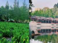 重慶小江南‖彩雲湖濕地公園