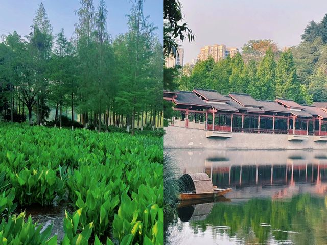 重慶小江南‖彩雲湖濕地公園