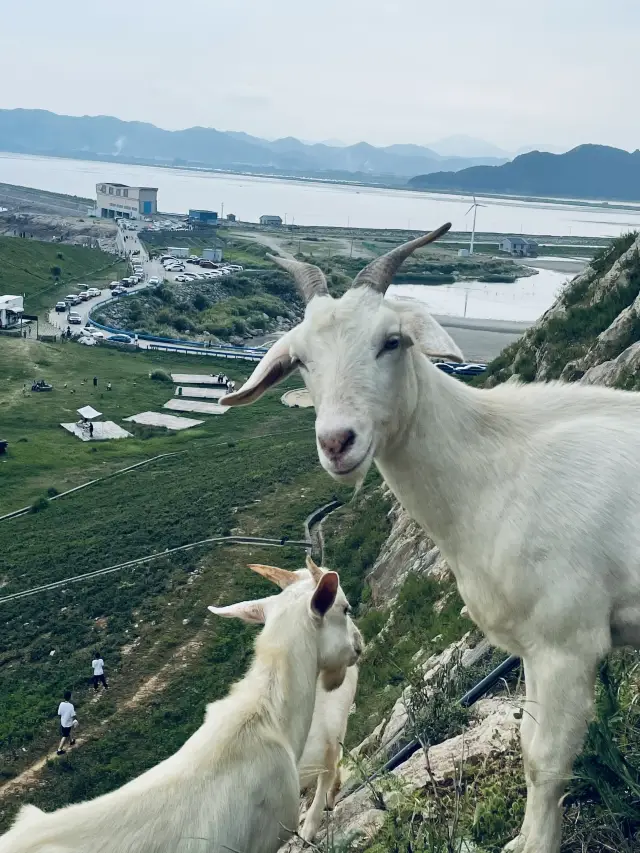 In Ningbo!! Accidentally entered the nature travel notes for the babies this weekend