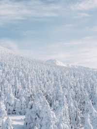 日本>山形藏王冰樹，滑雪攻略