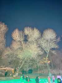 2月2日 夜遊哈爾濱兆麟公園