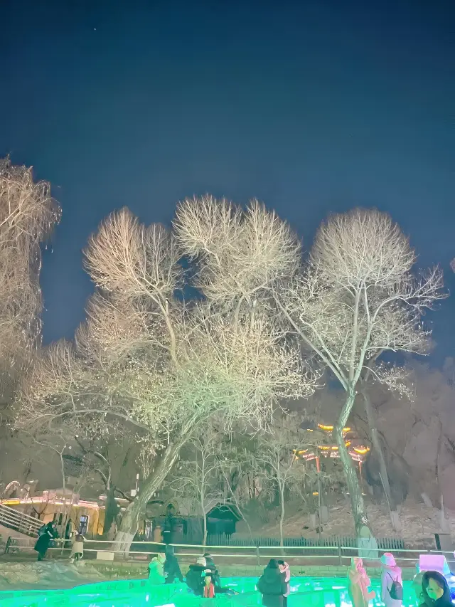 2월 2일 하얼빈 조린 공원 야간 투어