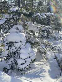 土味情話說給雪鄉聽