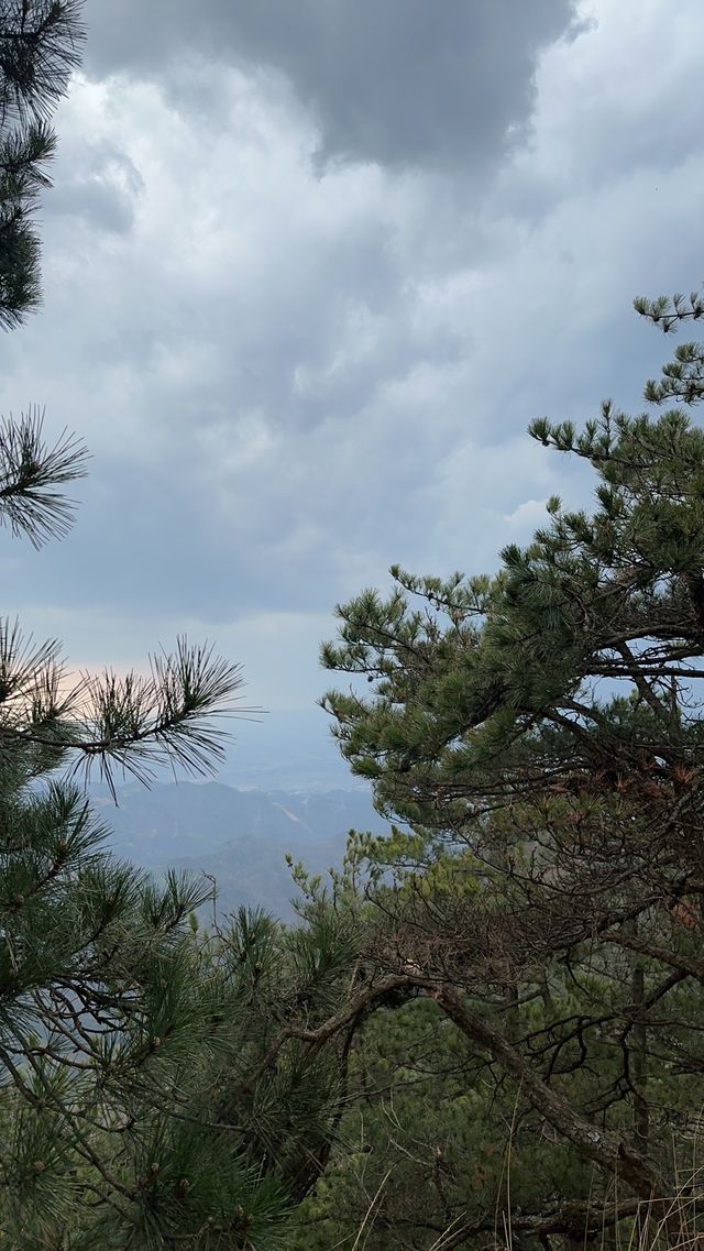 革命根據地-三角山