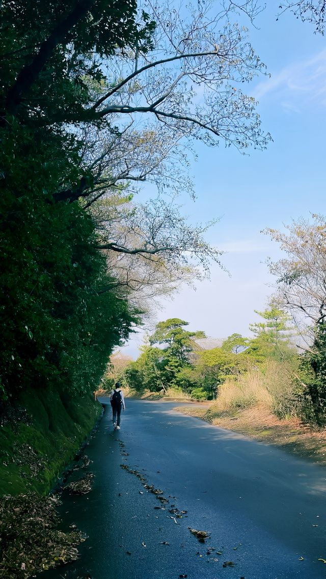 實時播報鹿兒島火山口的路已封