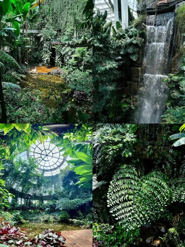 探索昆明植物園｜西園、東園傻傻分不清？