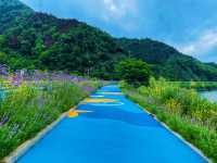 杭州市|千島湖一日環湖騎行全攻略