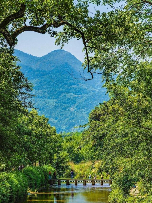 追劇同款《與鳳行》取景地，居然在浙江麗水