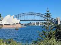 Top Vantage Points: Sydney Harbour Bridge 📸