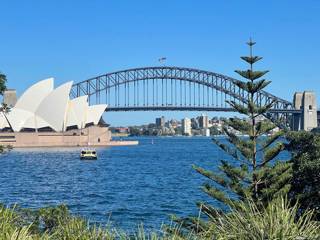 Top Vantage Points: Sydney Harbour Bridge 📸