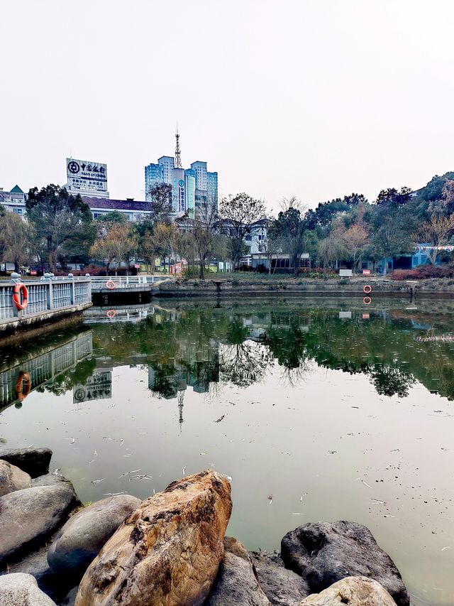 暖冬裡的東陽老公園：兒童公園