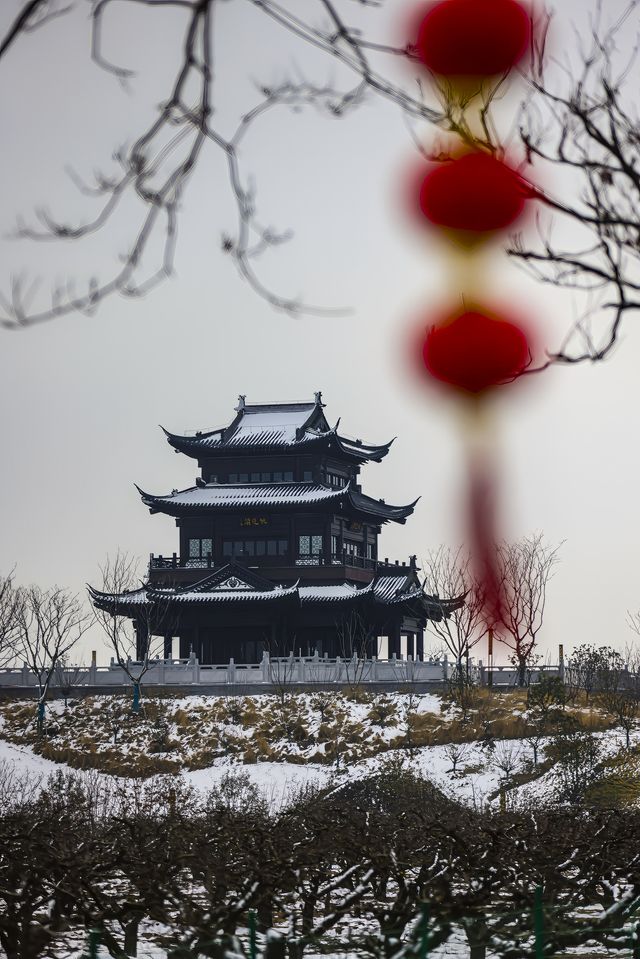 龍年來龍岡桃花源