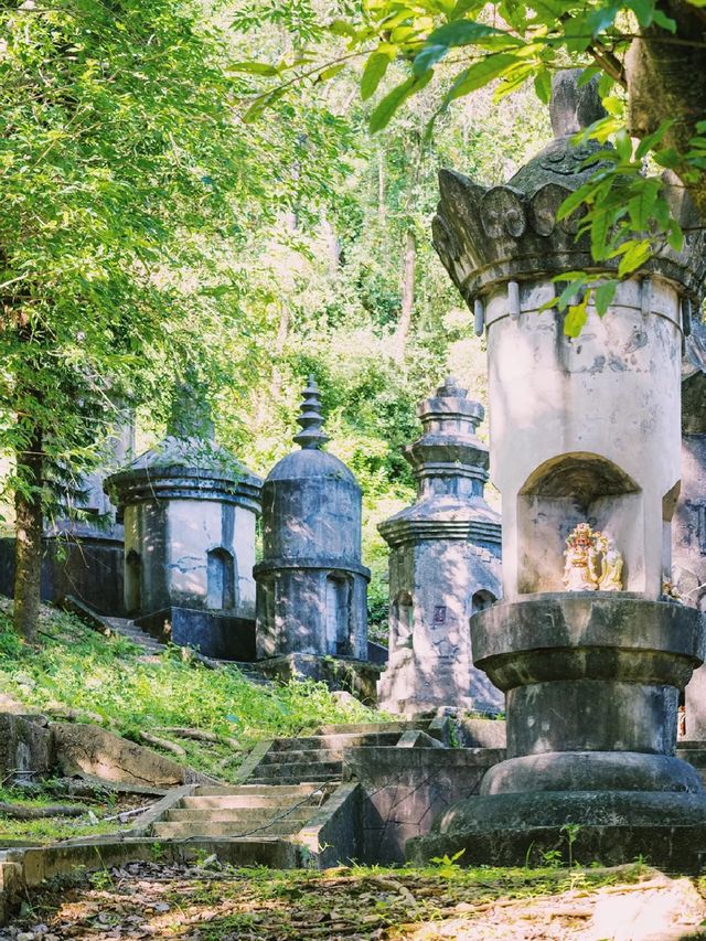 深圳小眾徒步森林，真的太美了～